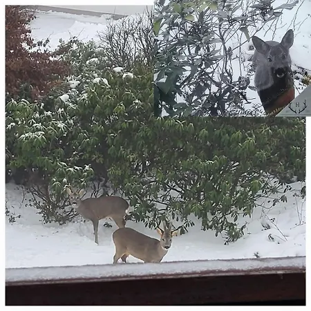 Haus Rehblick 2, Wg 3 سانكت اندرياسبرغ